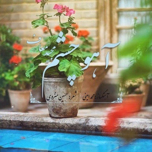 دانلود آهنگ مجید معاف آهو چشم  با کیفیت 320